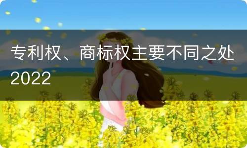 专利权、商标权主要不同之处2022