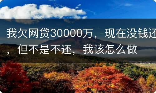 我欠网贷30000万，现在没钱还，但不是不还，我该怎么做