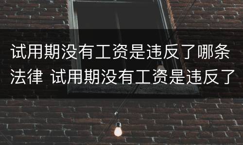 试用期没有工资是违反了哪条法律 试用期没有工资是违反了哪条法律规定