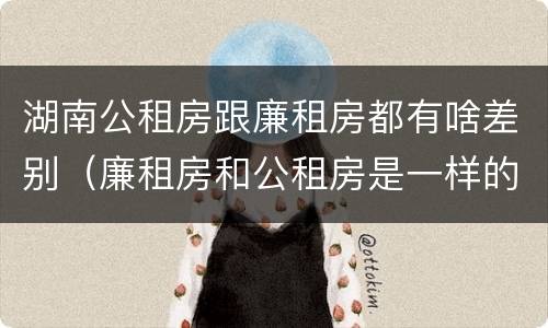 湖南公租房跟廉租房都有啥差别（廉租房和公租房是一样的吗）