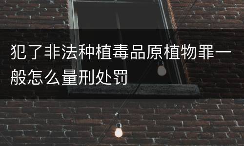 犯了非法种植毒品原植物罪一般怎么量刑处罚