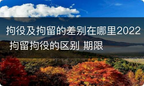 拘役及拘留的差别在哪里2022 拘留拘役的区别 期限