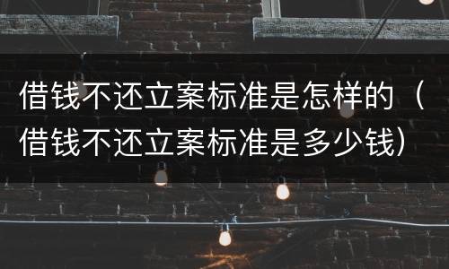 借钱不还立案标准是怎样的（借钱不还立案标准是多少钱）