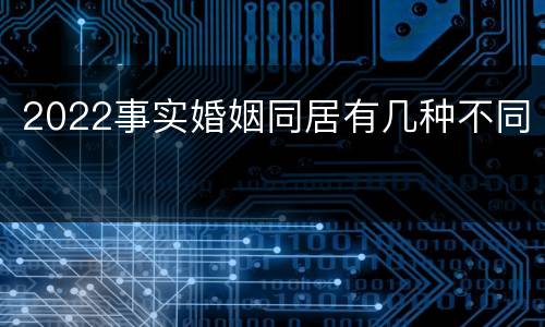 2022事实婚姻同居有几种不同