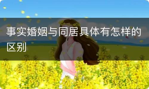 事实婚姻与同居具体有怎样的区别