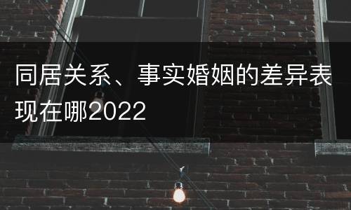 同居关系、事实婚姻的差异表现在哪2022