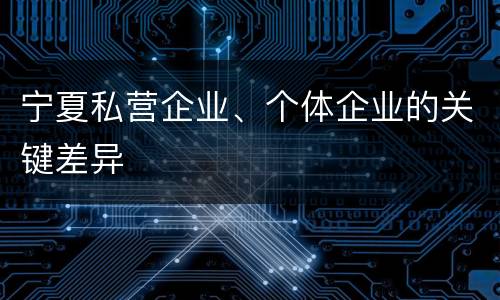 宁夏私营企业、个体企业的关键差异