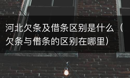 河北欠条及借条区别是什么（欠条与借条的区别在哪里）