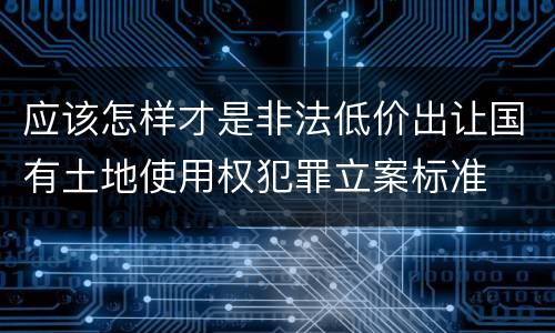 应该怎样才是非法低价出让国有土地使用权犯罪立案标准