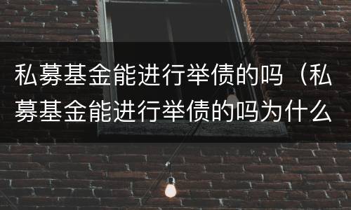私募基金能进行举债的吗（私募基金能进行举债的吗为什么）