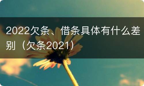 2022欠条、借条具体有什么差别（欠条2021）