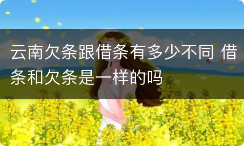 云南欠条跟借条有多少不同 借条和欠条是一样的吗