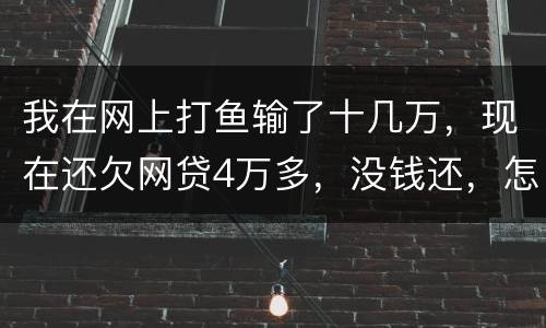 我在网上打鱼输了十几万，现在还欠网贷4万多，没钱还，怎么办