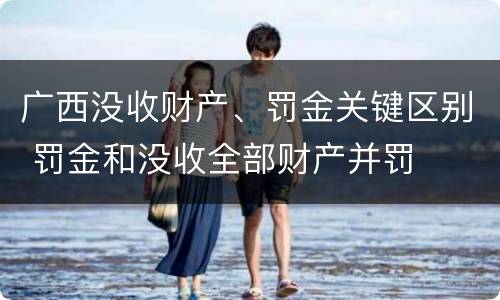 广西没收财产、罚金关键区别 罚金和没收全部财产并罚