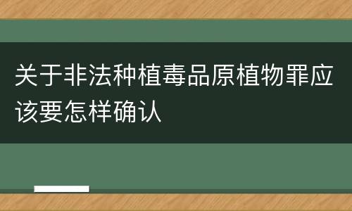 关于非法种植毒品原植物罪应该要怎样确认