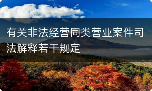 有关非法经营同类营业案件司法解释若干规定