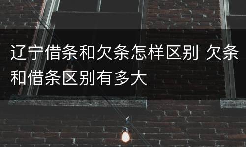 辽宁借条和欠条怎样区别 欠条和借条区别有多大