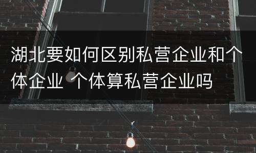 湖北要如何区别私营企业和个体企业 个体算私营企业吗