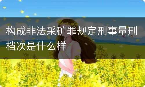 构成非法采矿罪规定刑事量刑档次是什么样
