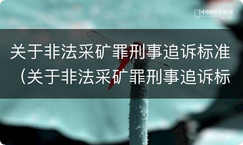 关于非法采矿罪刑事追诉标准（关于非法采矿罪刑事追诉标准的解释）