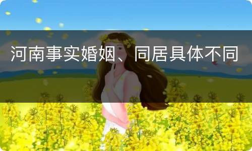 河南事实婚姻、同居具体不同
