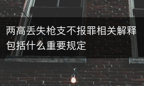 两高丢失枪支不报罪相关解释包括什么重要规定