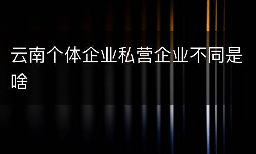 云南个体企业私营企业不同是啥