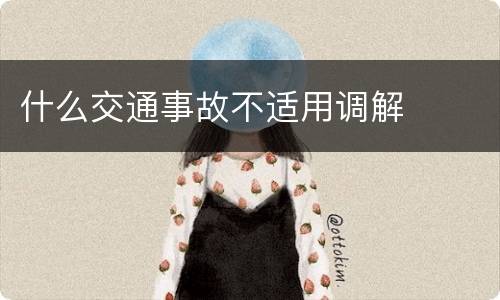 什么交通事故不适用调解