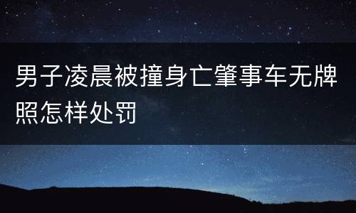 男子凌晨被撞身亡肇事车无牌照怎样处罚