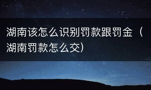 湖南该怎么识别罚款跟罚金（湖南罚款怎么交）