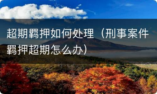 超期羁押如何处理（刑事案件羁押超期怎么办）