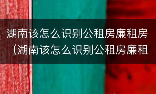 湖南该怎么识别公租房廉租房（湖南该怎么识别公租房廉租房信息）