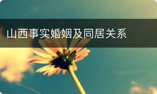 山西事实婚姻及同居关系