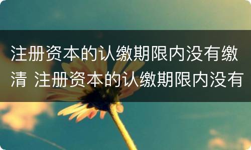 注册资本的认缴期限内没有缴清 注册资本的认缴期限内没有缴清所得税