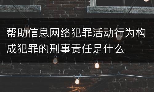 帮助信息网络犯罪活动行为构成犯罪的刑事责任是什么