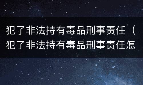 犯了非法持有毒品刑事责任（犯了非法持有毒品刑事责任怎么处理）