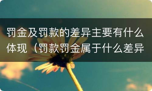 罚金及罚款的差异主要有什么体现（罚款罚金属于什么差异）