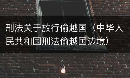 刑法关于放行偷越国（中华人民共和国刑法偷越国边境）