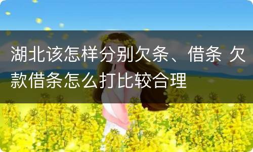 湖北该怎样分别欠条、借条 欠款借条怎么打比较合理