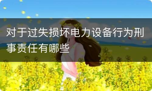 对于过失损坏电力设备行为刑事责任有哪些