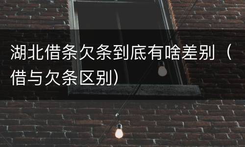 湖北借条欠条到底有啥差别（借与欠条区别）