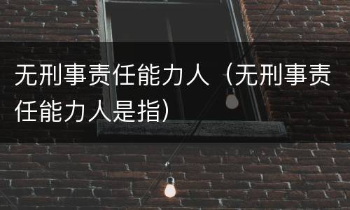 无刑事责任能力人（无刑事责任能力人是指）