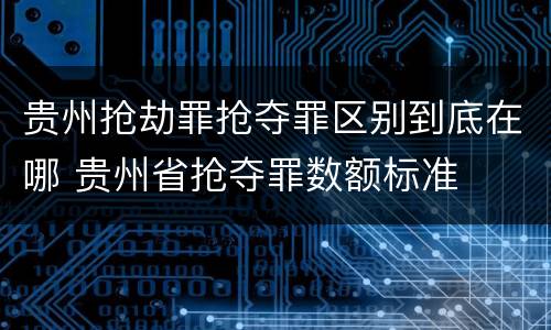 贵州抢劫罪抢夺罪区别到底在哪 贵州省抢夺罪数额标准