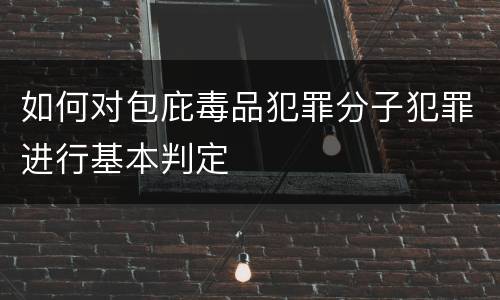 如何对包庇毒品犯罪分子犯罪进行基本判定