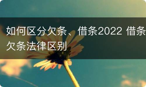 如何区分欠条、借条2022 借条欠条法律区别