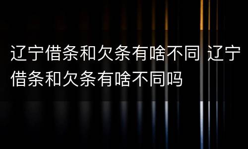 辽宁借条和欠条有啥不同 辽宁借条和欠条有啥不同吗
