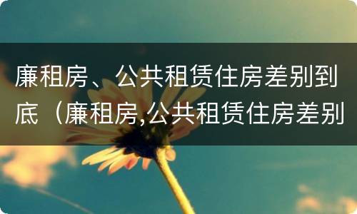 廉租房、公共租赁住房差别到底（廉租房,公共租赁住房差别到底多大）
