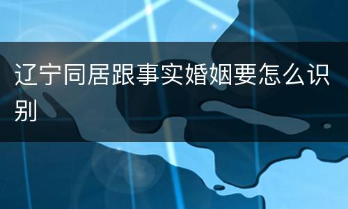 辽宁同居跟事实婚姻要怎么识别