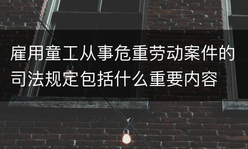 雇用童工从事危重劳动案件的司法规定包括什么重要内容