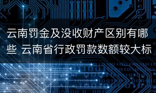 云南罚金及没收财产区别有哪些 云南省行政罚款数额较大标准